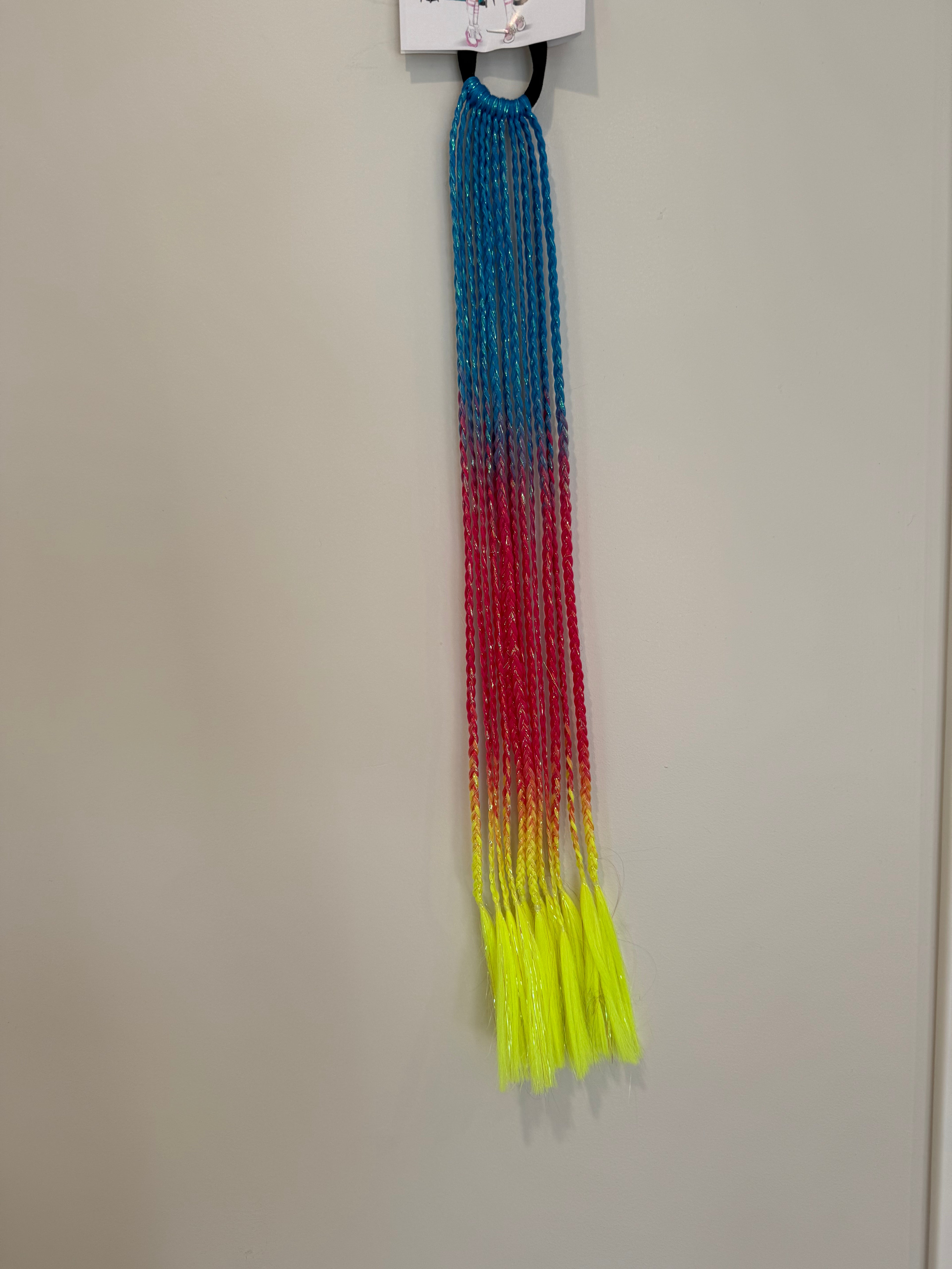 Rainbow Braids